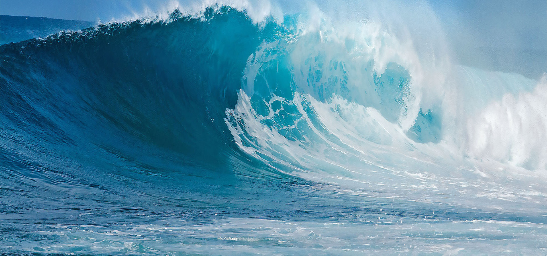 元含万象、、、万象新葡的京集团350vip8888